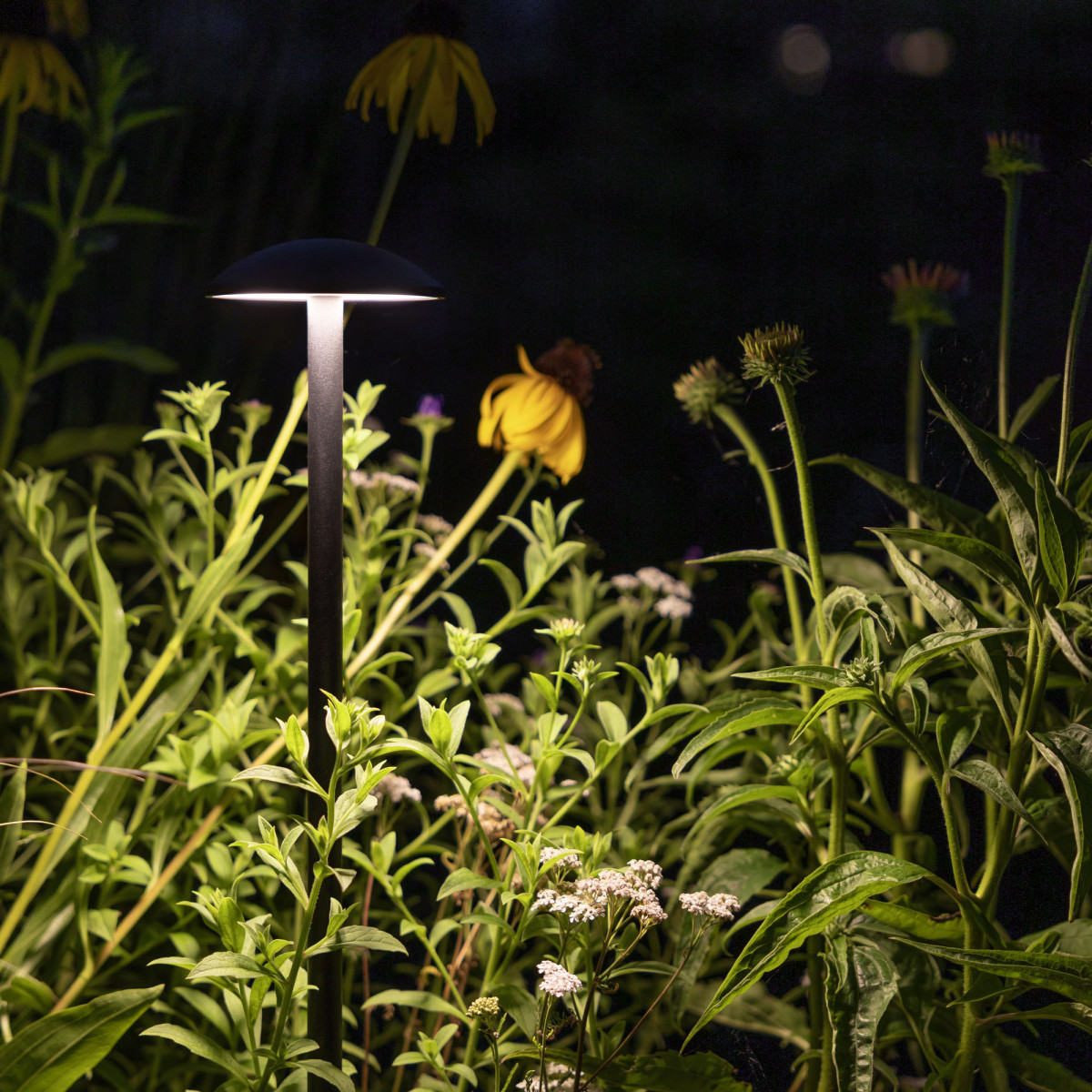 Jazzy Tuinlamp Zwart Large