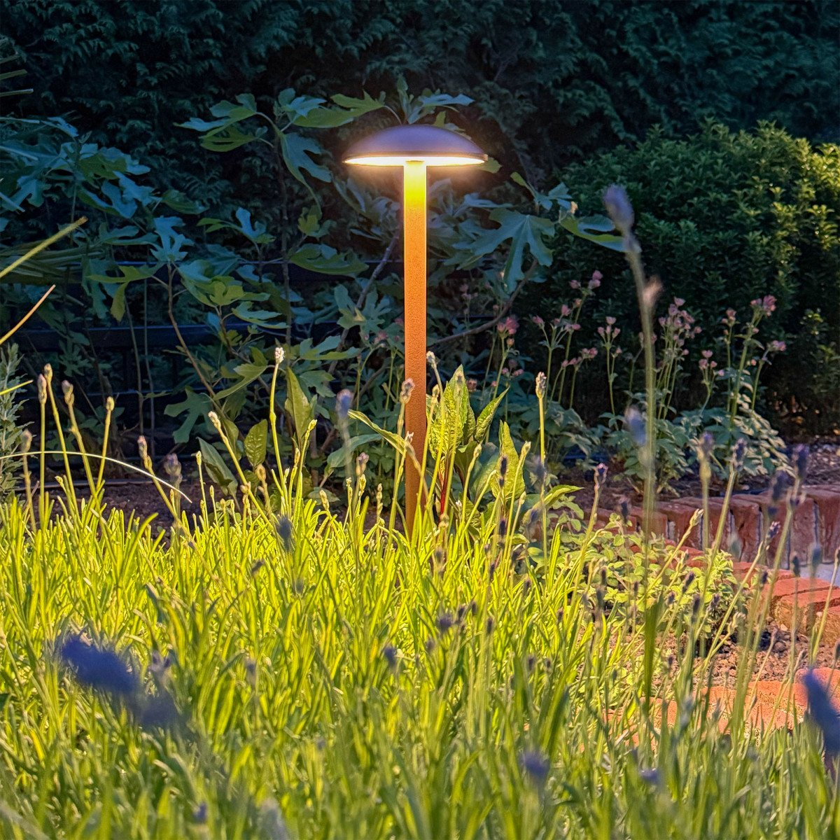 Staande LED-terraslamp van 80 cm hoog met cortenstaal-kleurige coating en indirect licht.