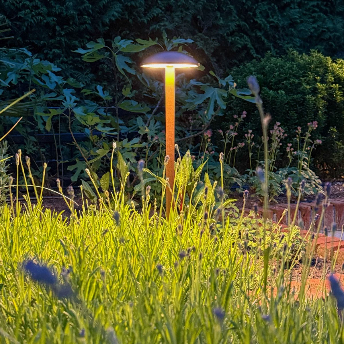 Bayou 【3ED】 Bayou | 3rd Edition / Revised | Star City Games