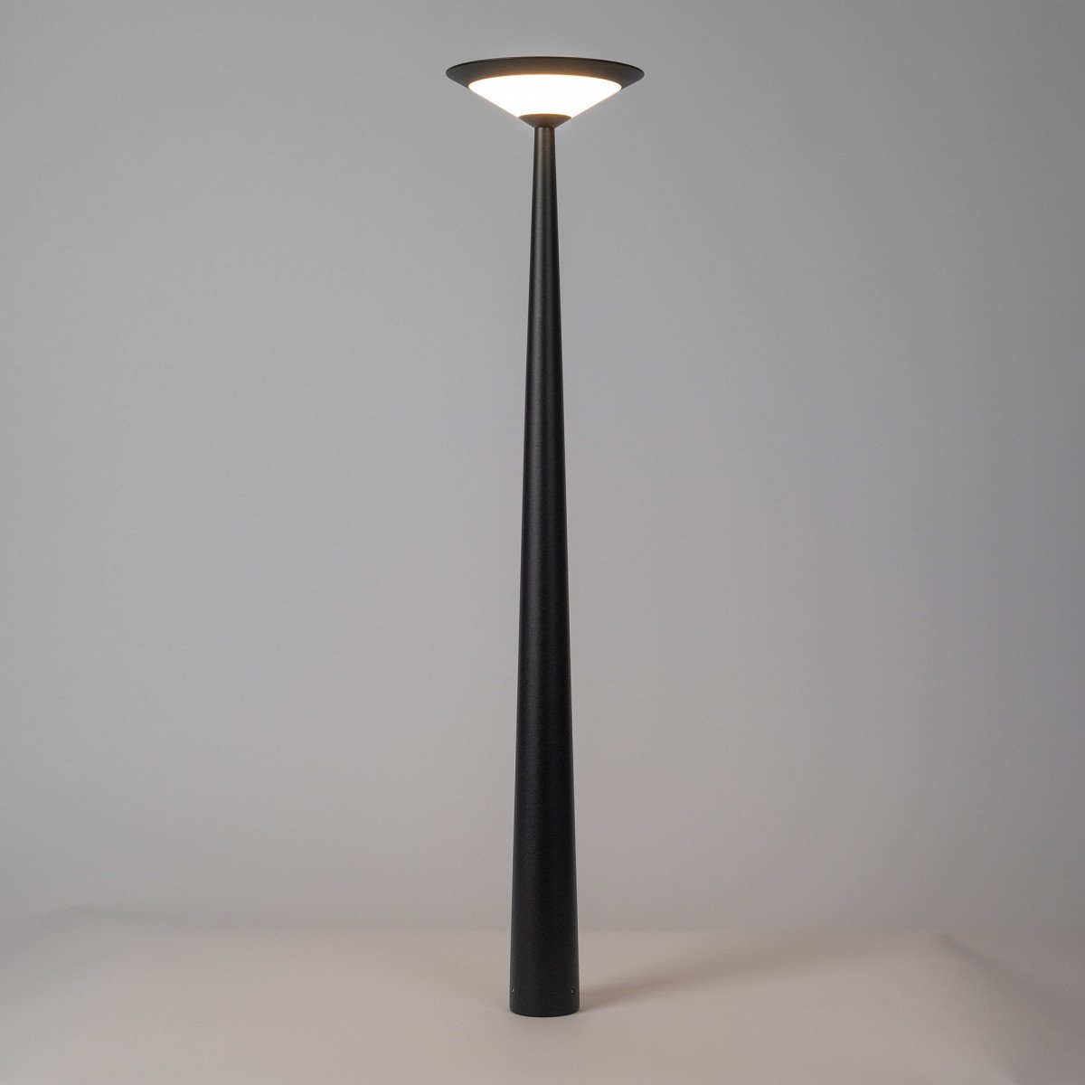 Tuinlamp Elin buitenlamp zwart aluminium modern