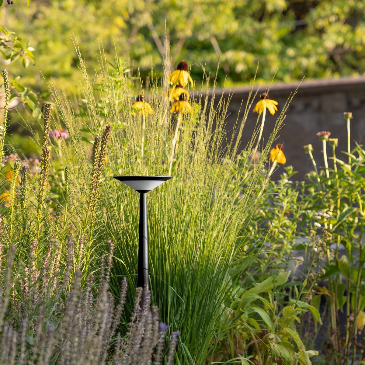 Tuinlamp Elin buitenlamp zwart aluminium modern