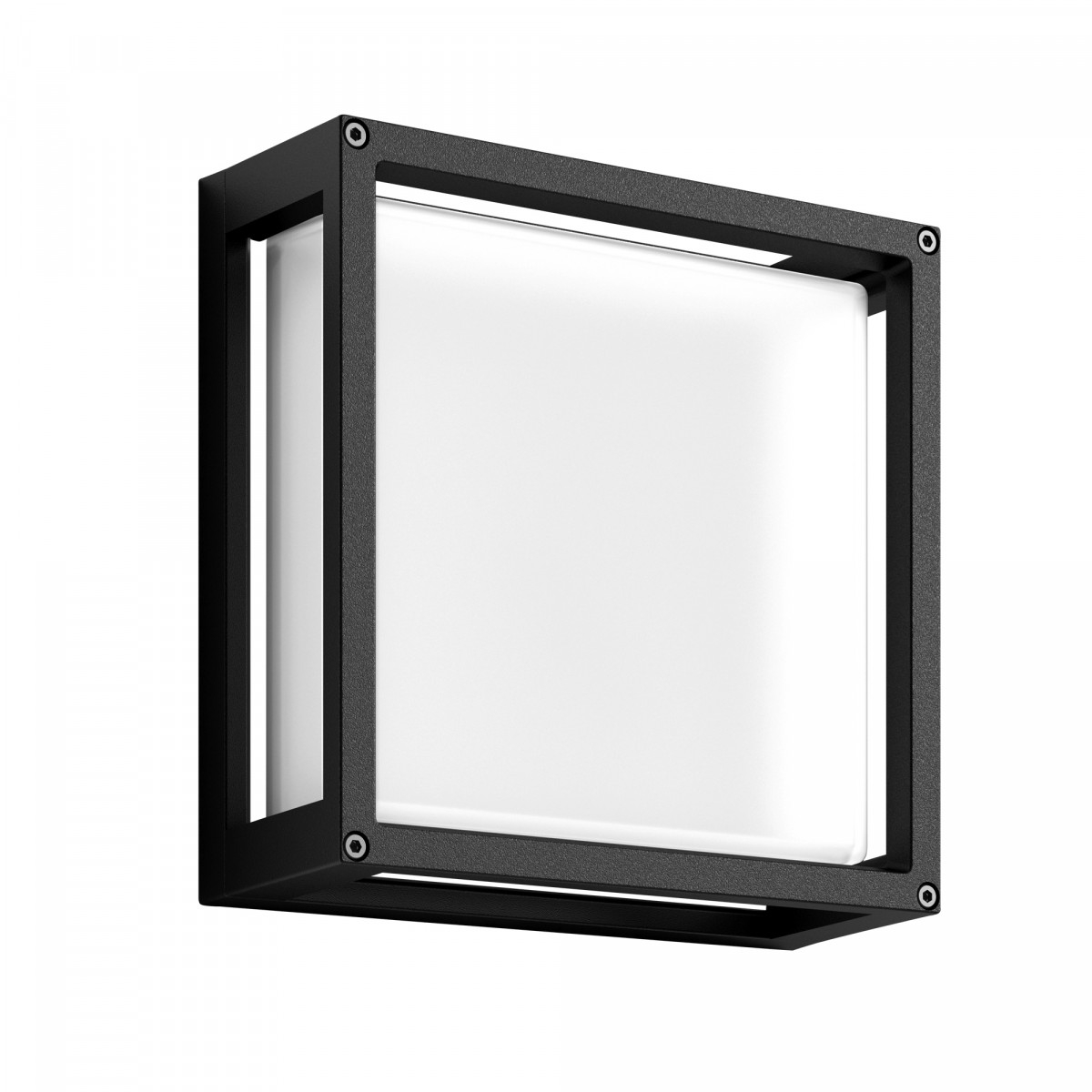 Bloc wandlamp en plafondlamp zwart, vierkant armatuur met 2x E27 en mat glas, geschikt voor buitengebruik.