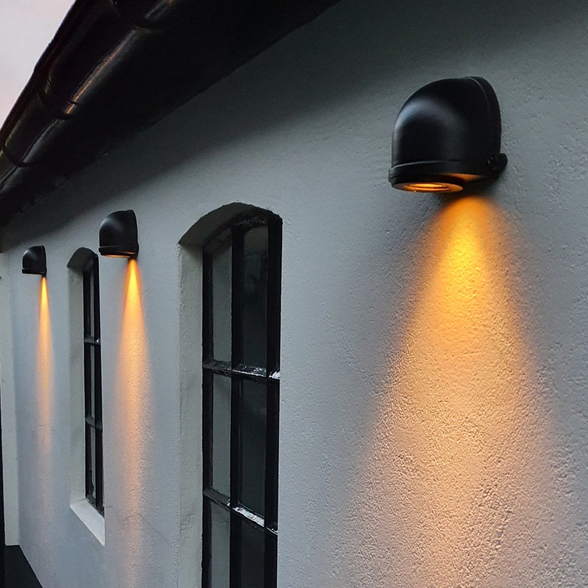 Dusky wandspot Zwart