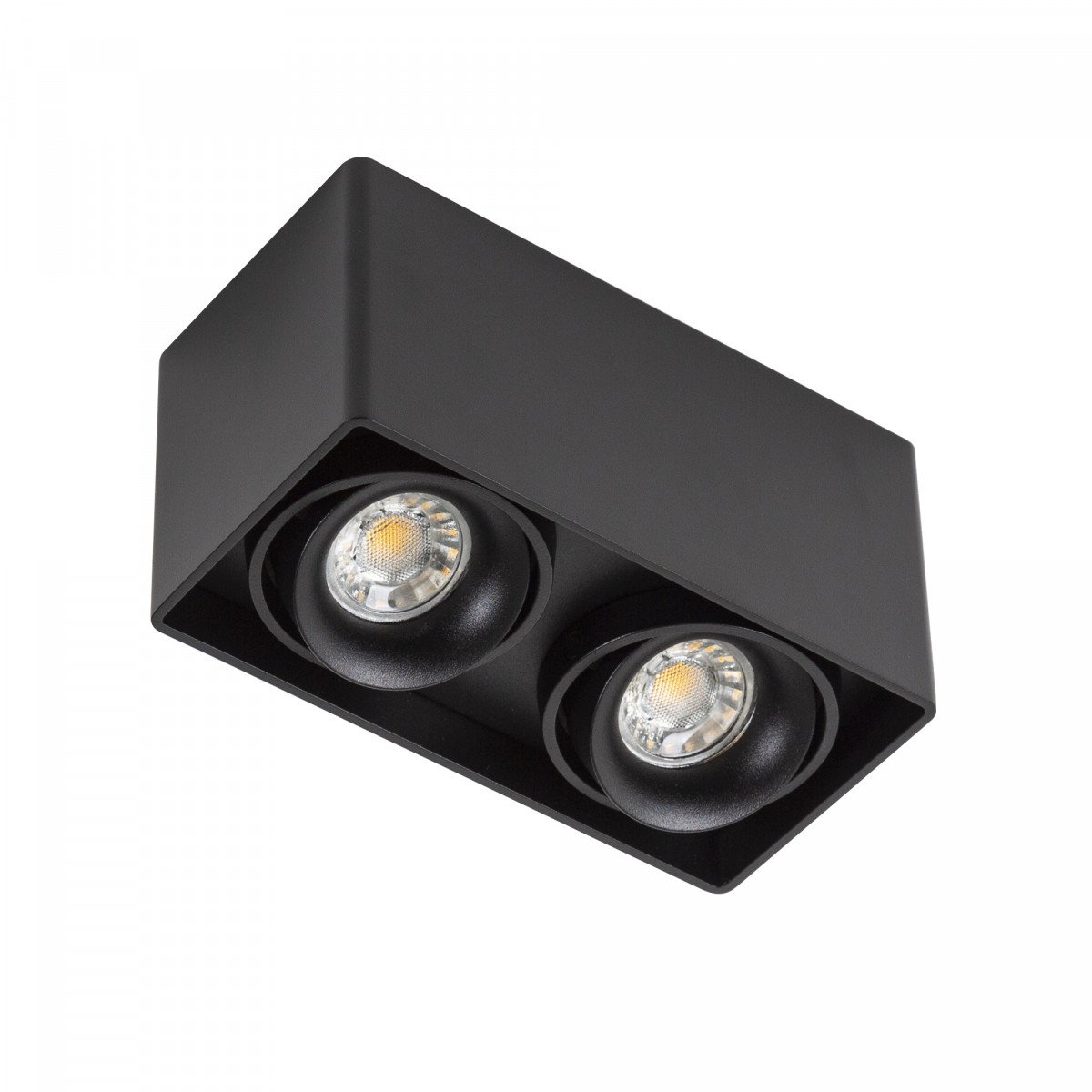 Bjorn 2 Zwarte Opbouwspot – Stoer design met maximale flexibiliteit 
