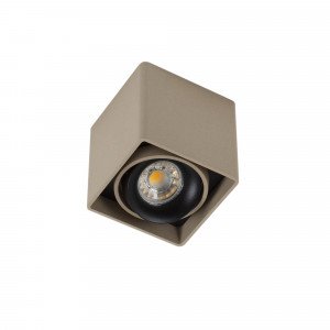 Opbouwspot Bjorn 1 Champagne 7723 - Binnenverlichting Opbouwspot Bjorn 1 Champagne 7723 - Binnenverlichting