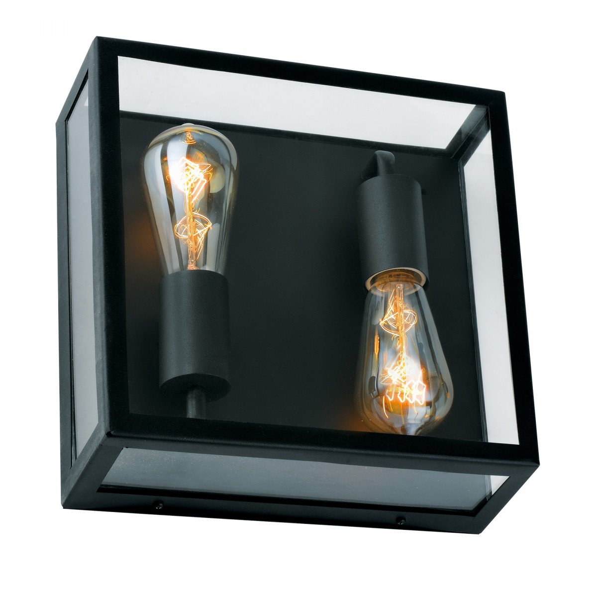 zwarte plafondlamp ook als wandlamp toepasbaar, vierkant zwarte frame, grote heldere glazen, twee zichtbare lichtbronnen, stijlvolle plaffoniere