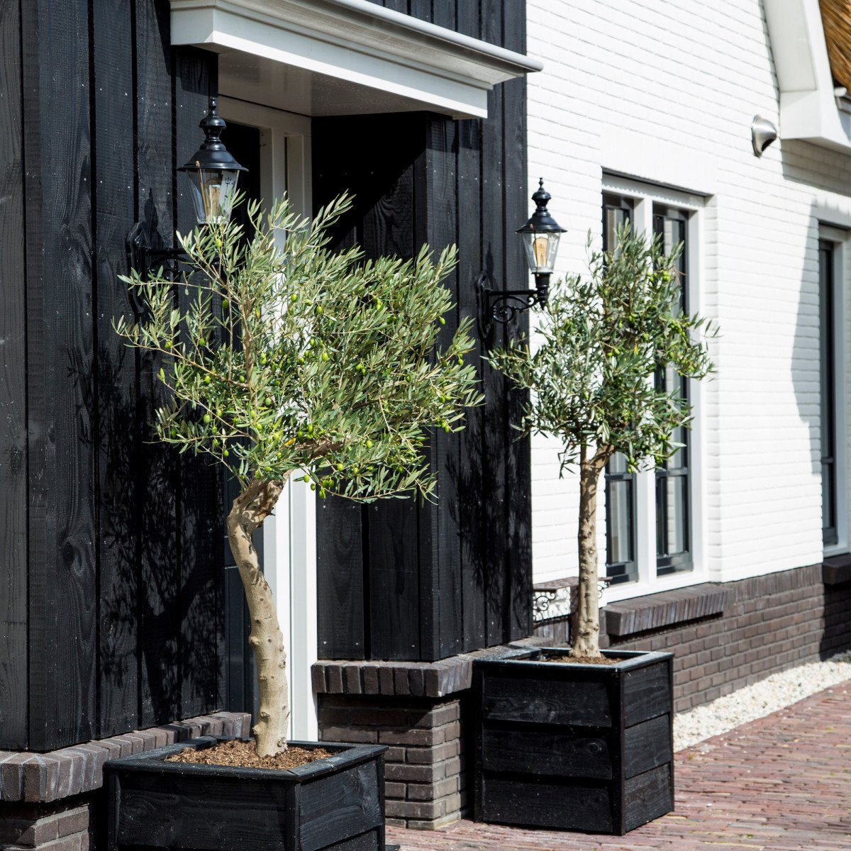 Buitenlamp Edam M met koperen deksel, groene wandarm en helder kunststof glas