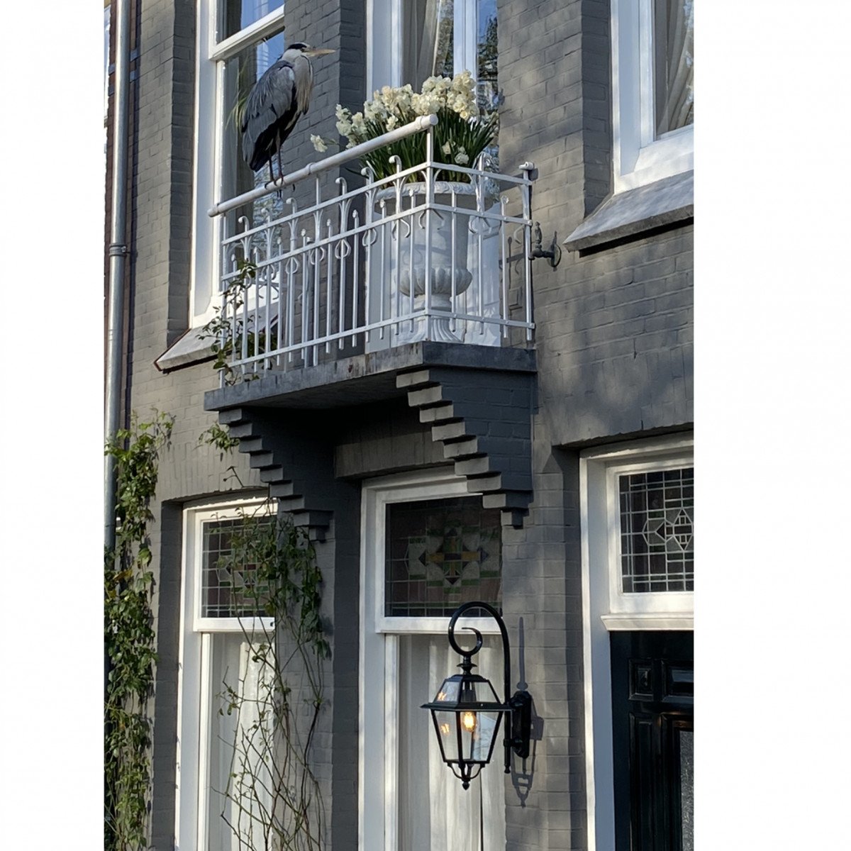 Klassieke buitenlamp Amstelrade met sierlijke krularm, heldere beglazing en poedercoating in zwart of antraciet.