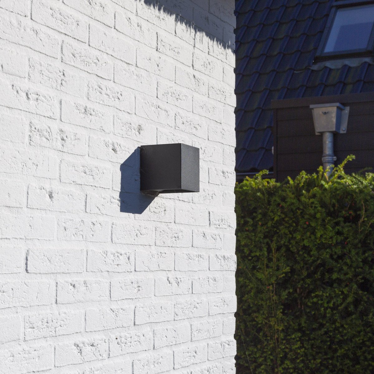 Downlighter Levi in RVS uitvoering met antraciet coating