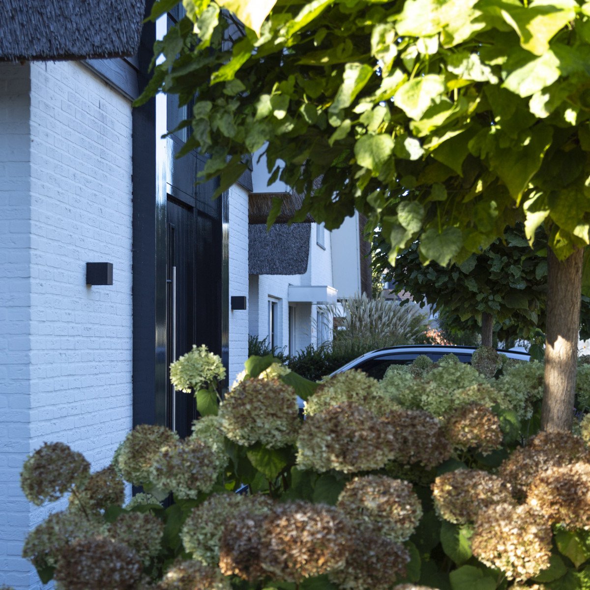 Downlighter Levi in RVS uitvoering met antraciet coating