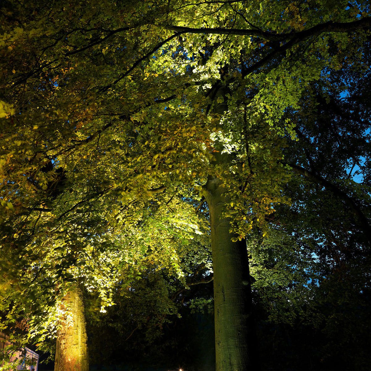 Grondspot LED Rond zwart