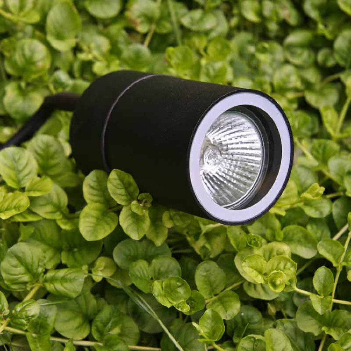 Tuinspot LED pin met gu10 fitting de ideale tuinspot met grondpin snoer en stekker zeer gebruiksvriendlijk de ideale tuinspot van KS Verlichting